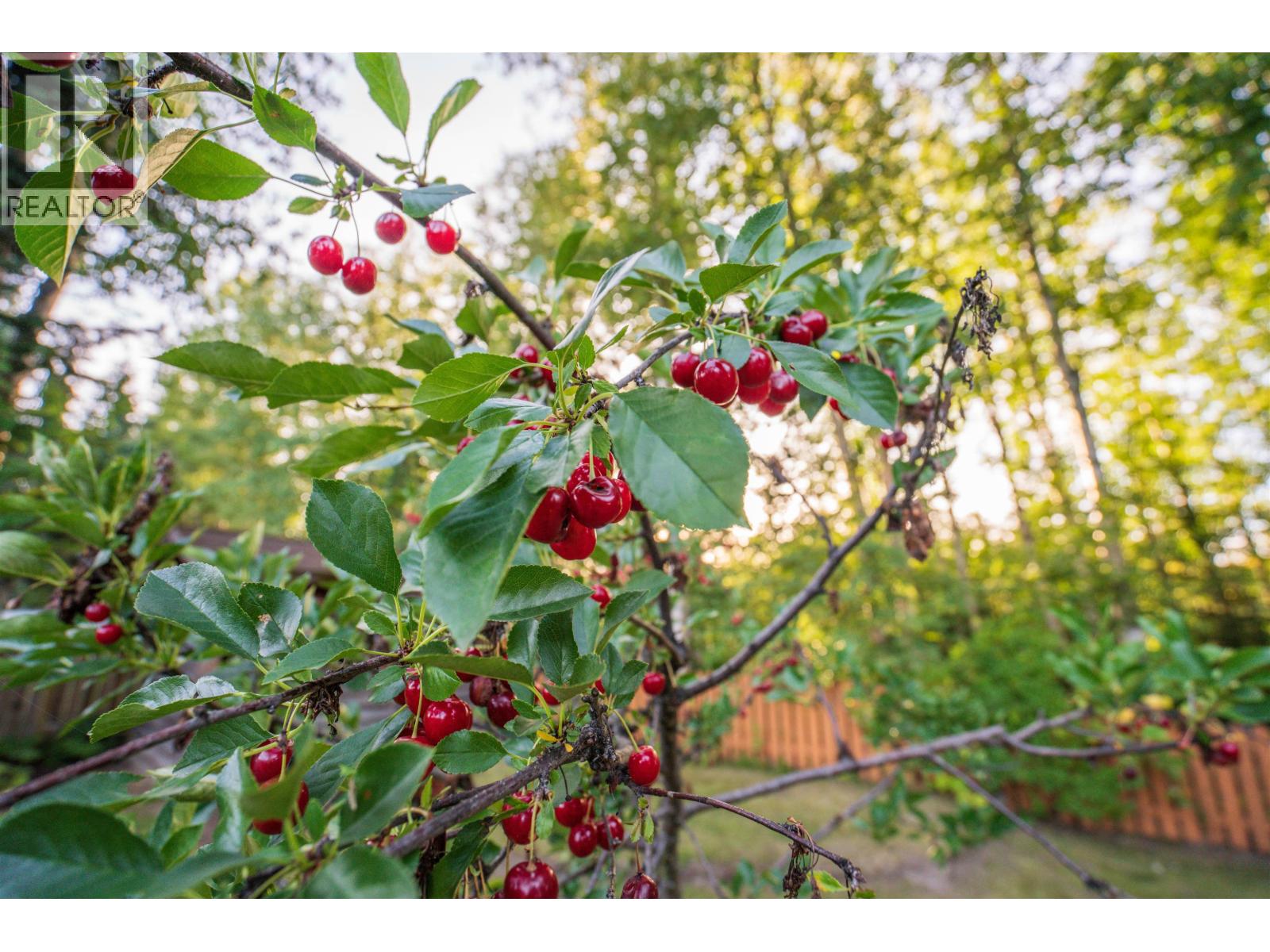 4121 Baker Road, Prince George, British Columbia  V1H 1A4 - Photo 35 - R3069592