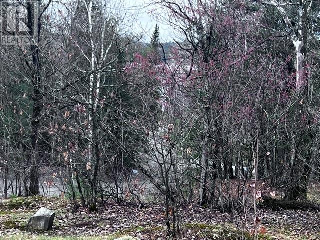 23 Moose Lake Road, Massey, Ontario  P0P 1P0 - Photo 12 - 2125742