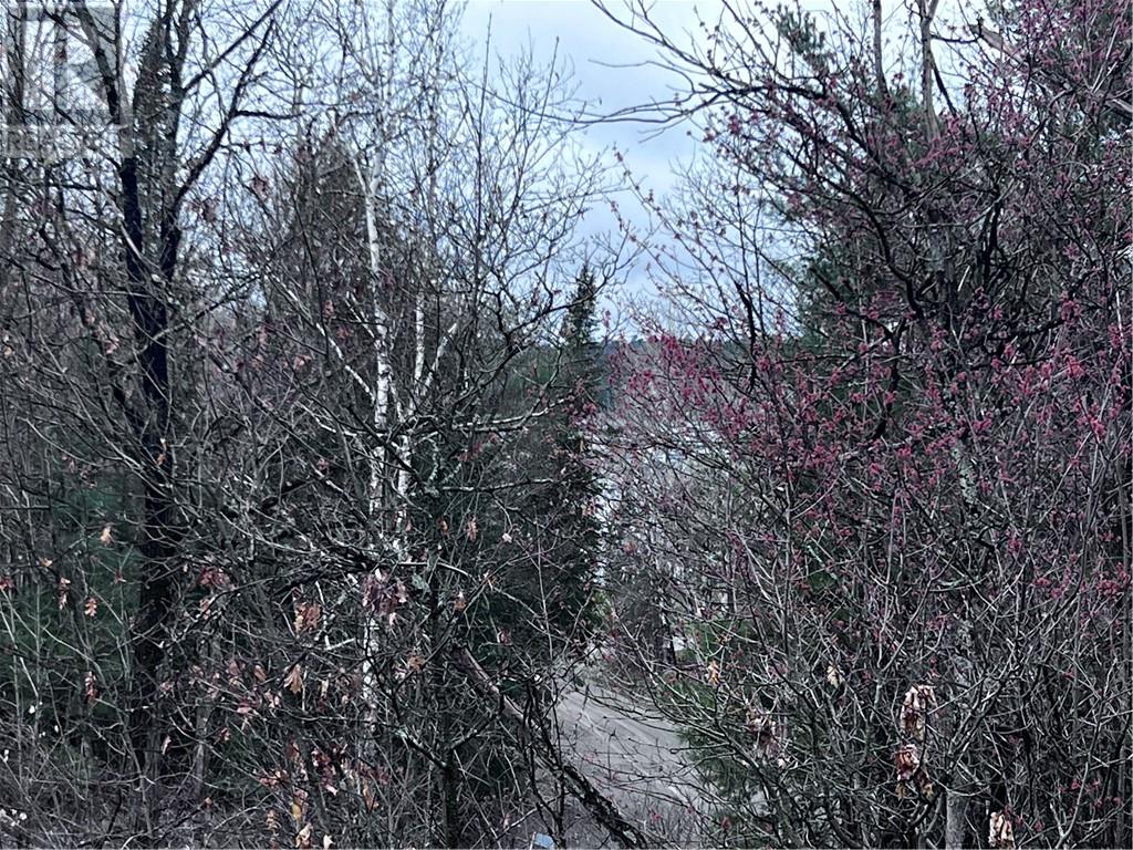 23 Moose Lake Road, Massey, Ontario  P0P 1P0 - Photo 13 - 2125742