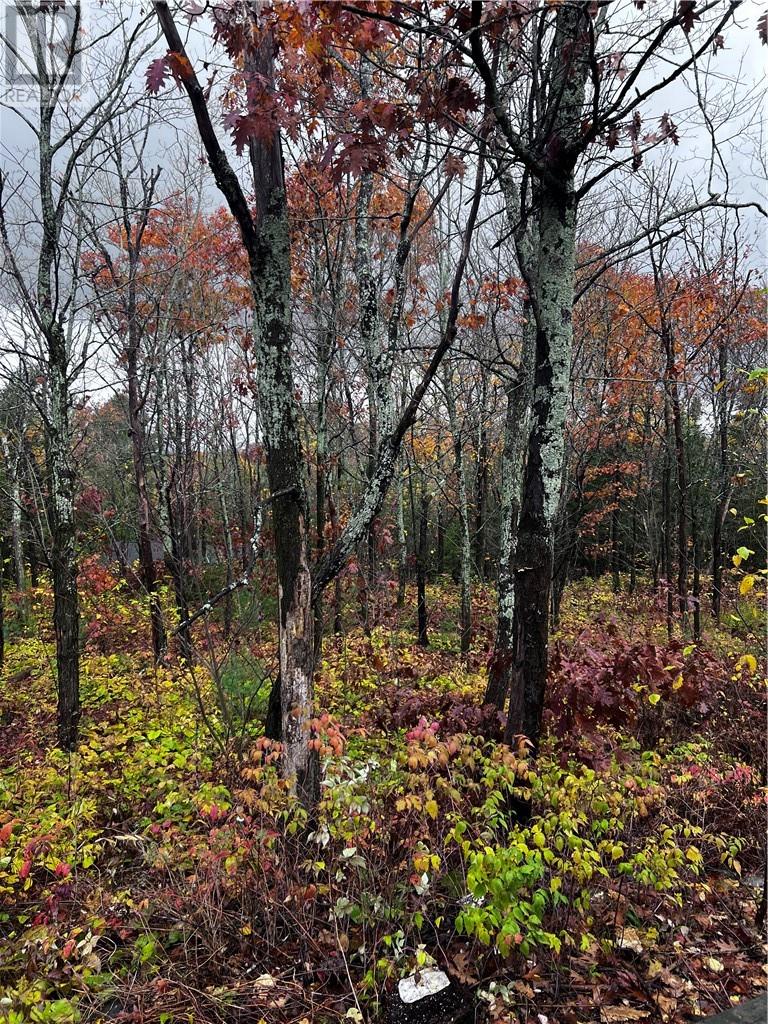 23 Moose Lake Road, Massey, Ontario  P0P 1P0 - Photo 15 - 2125742