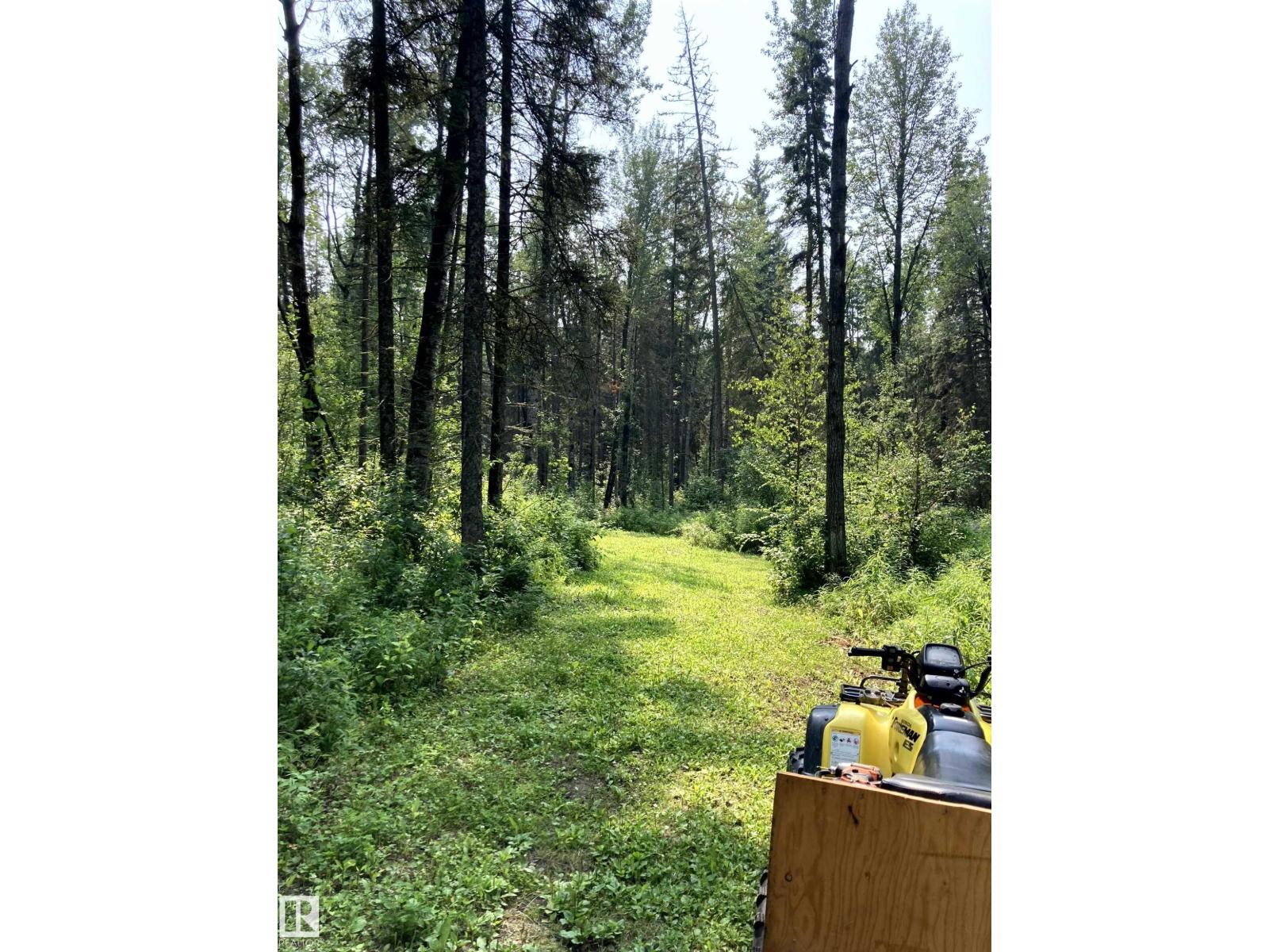 673001a Rge Road 215, Rural Athabasca County, Alberta  T9S 2A2 - Photo 73 - E4466039