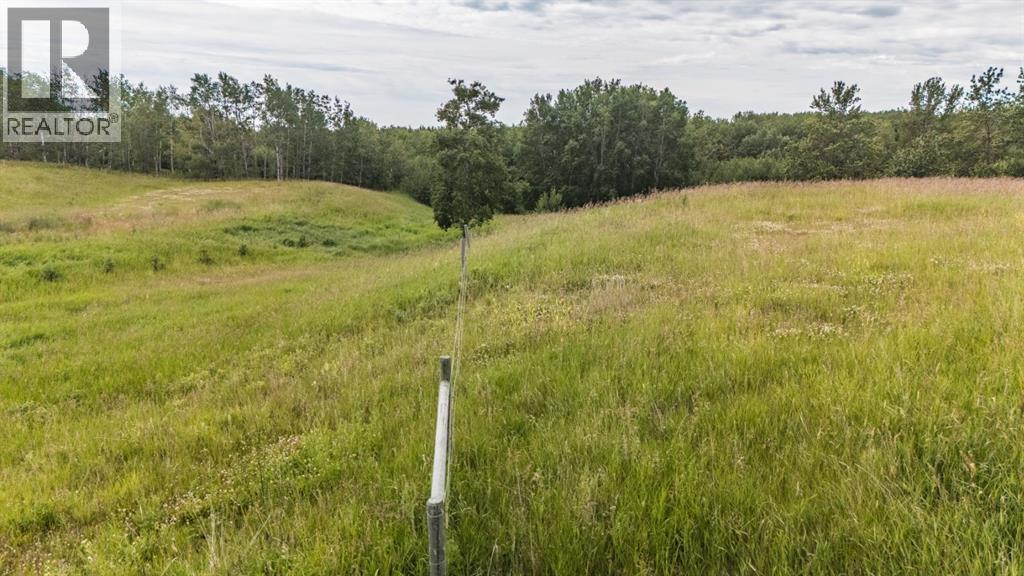 39 Bruhn Bend, Rural Ponoka County, Alberta  T0C 2J0 - Photo 10 - A2238846