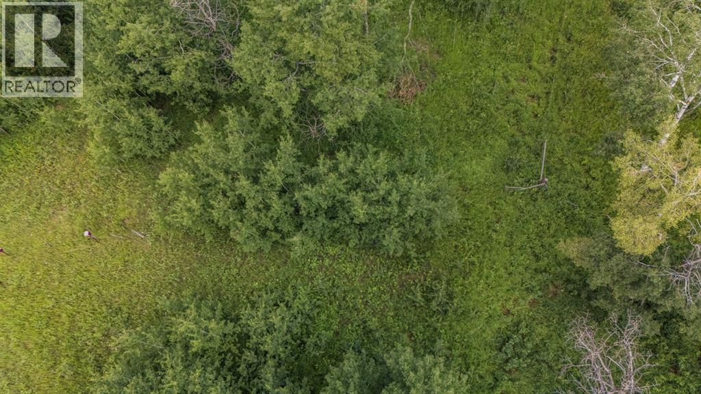 39 Bruhn Bend, Rural Ponoka County, Alberta  T0C 2J0 - Photo 15 - A2238846