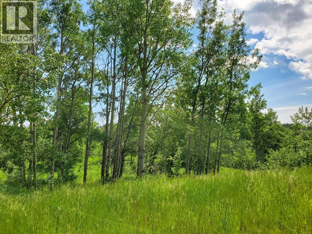 39 Bruhn Bend, Rural Ponoka County, Alberta  T0C 2J0 - Photo 22 - A2238846