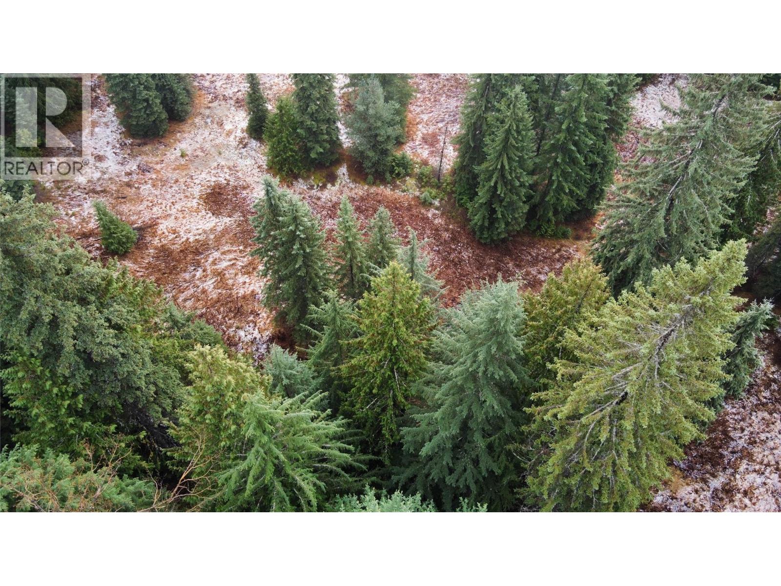 Ferguson Road, Ferguson, British Columbia  V0G 1R1 - Photo 10 - 10369388