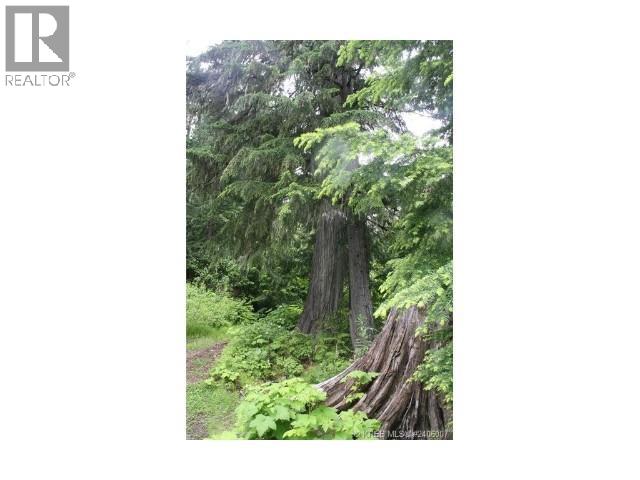 Ferguson Road, Ferguson, British Columbia  V0G 1R1 - Photo 11 - 10369388