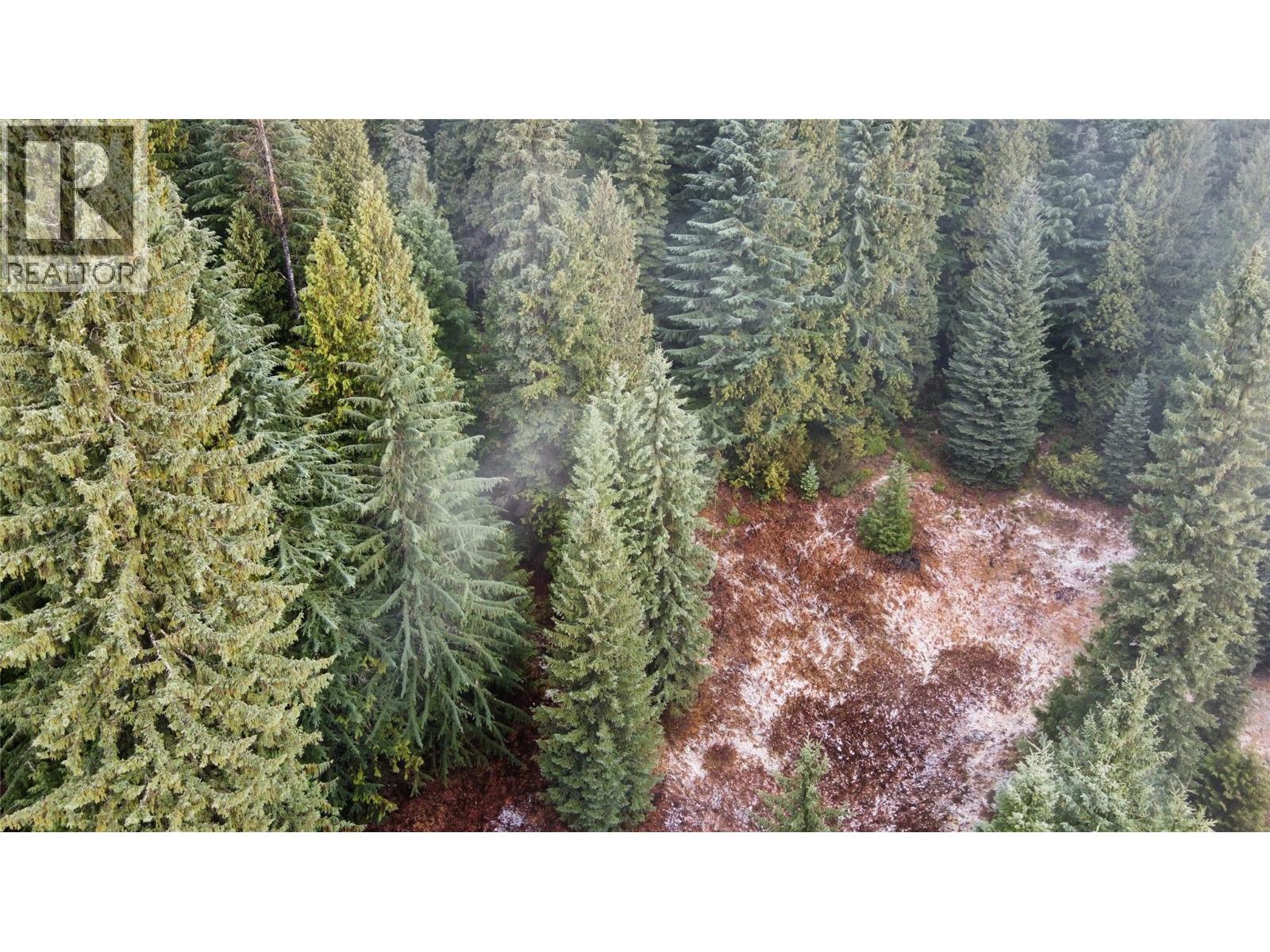 Ferguson Road, Ferguson, British Columbia  V0G 1R1 - Photo 3 - 10369388