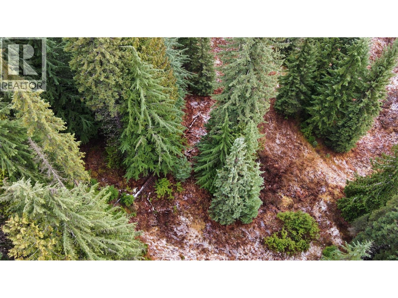 Ferguson Road, Ferguson, British Columbia  V0G 1R1 - Photo 6 - 10369388