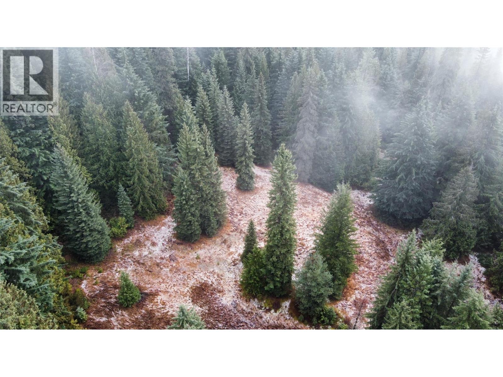 Ferguson Road, Ferguson, British Columbia  V0G 1R1 - Photo 2 - 10369388