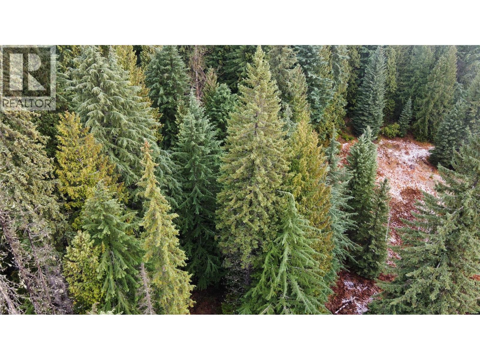 Ferguson Road, Ferguson, British Columbia  V0G 1R1 - Photo 7 - 10369388