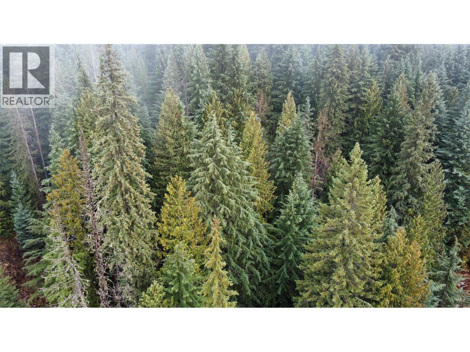 Ferguson Road, Ferguson, British Columbia  V0G 1R1 - Photo 5 - 10369388