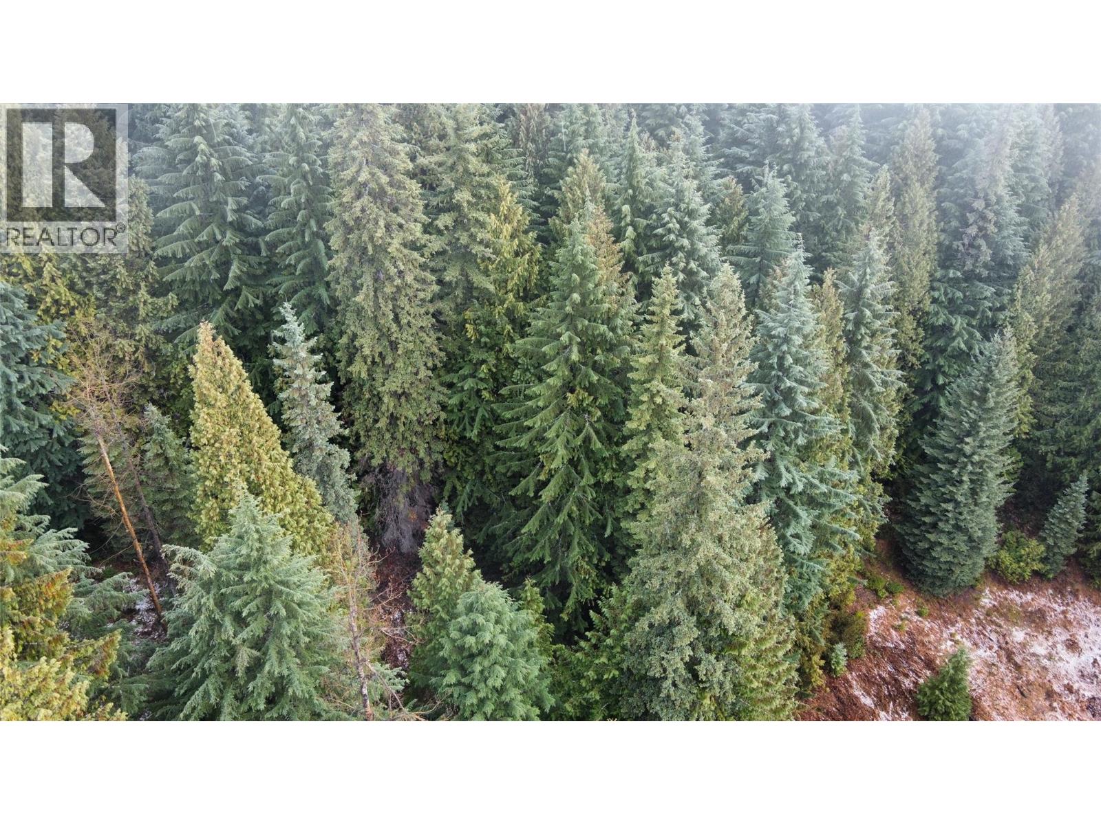 Ferguson Road, Ferguson, British Columbia  V0G 1R1 - Photo 8 - 10369388