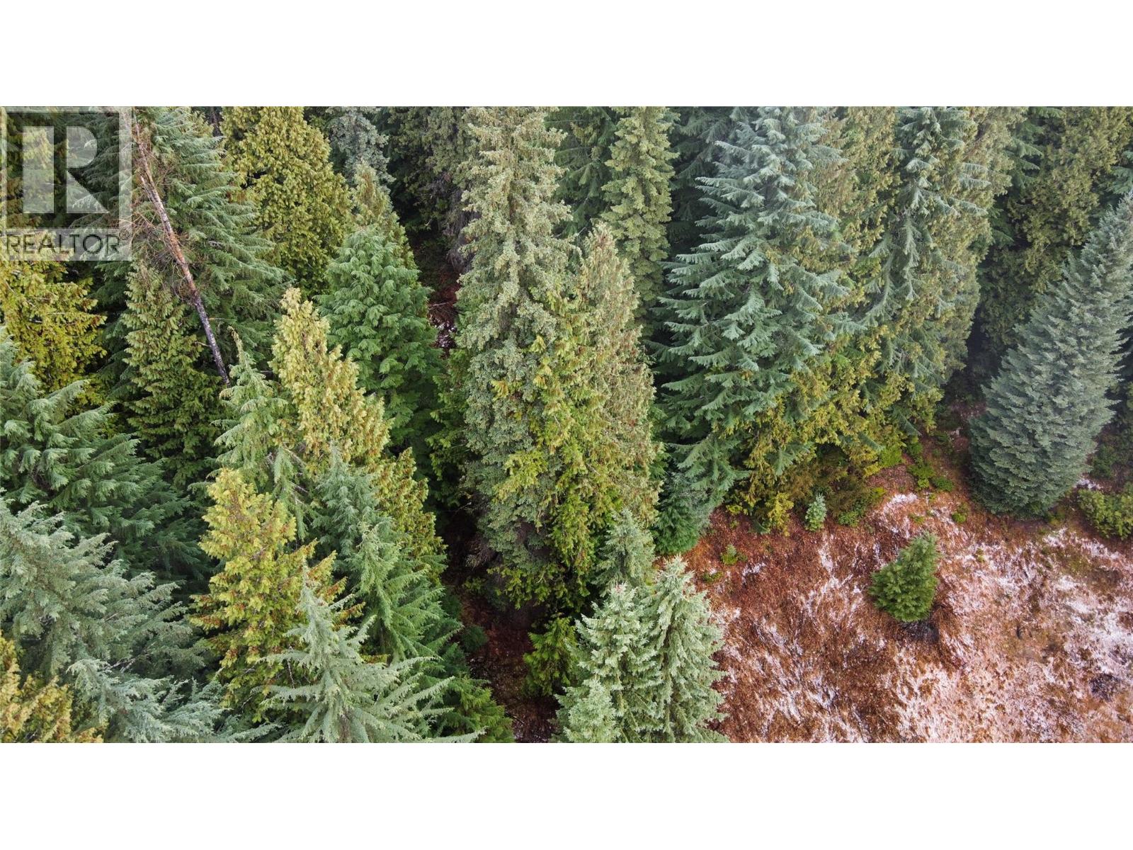 Ferguson Road, Ferguson, British Columbia  V0G 1R1 - Photo 4 - 10369388