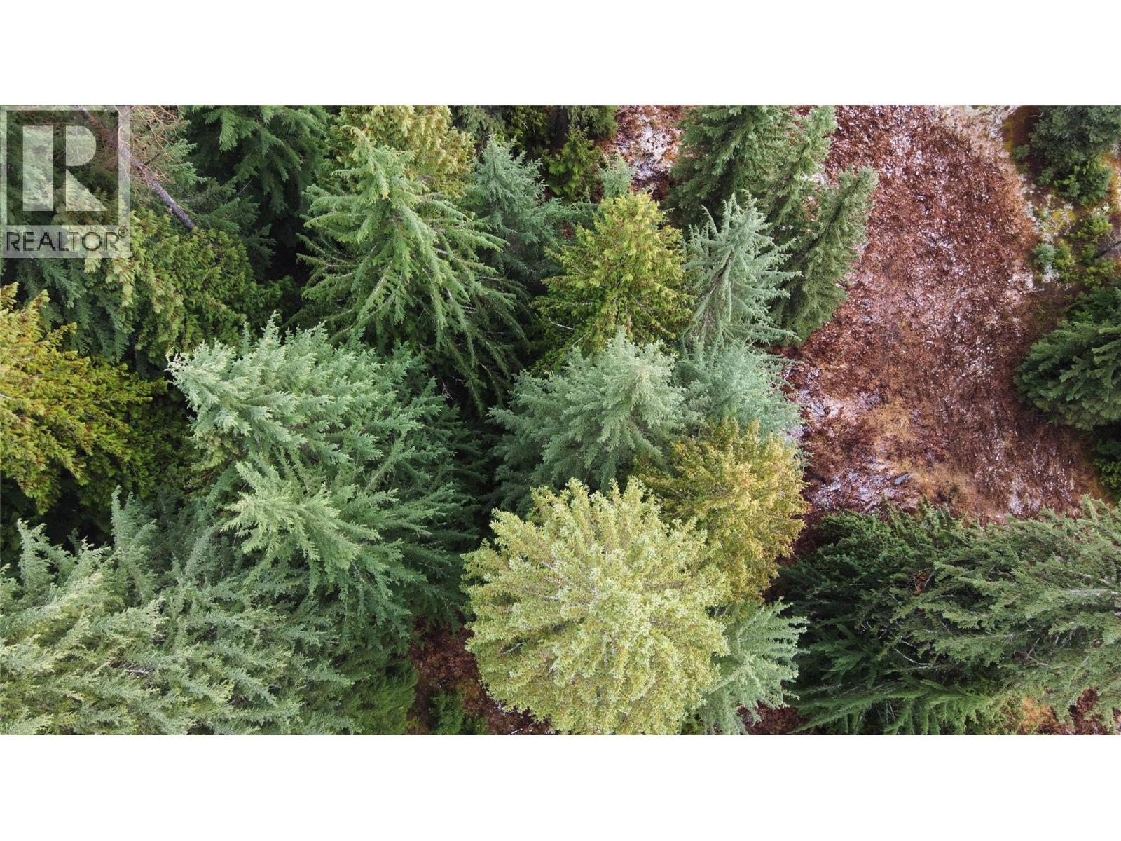 Ferguson Road, Ferguson, British Columbia  V0G 1R1 - Photo 9 - 10369388