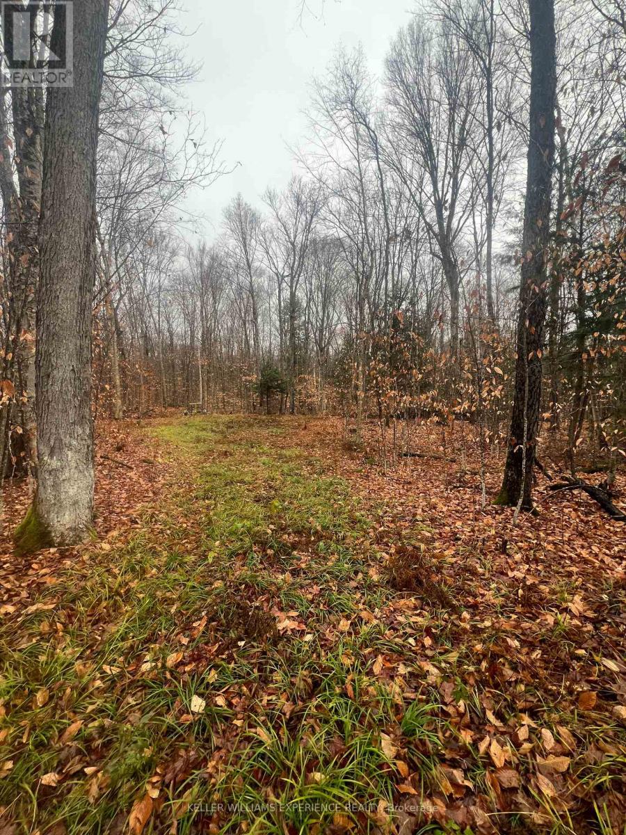 320 Proudfoot Road, Joly, Ontario  P0A 1Z0 - Photo 3 - X12075537