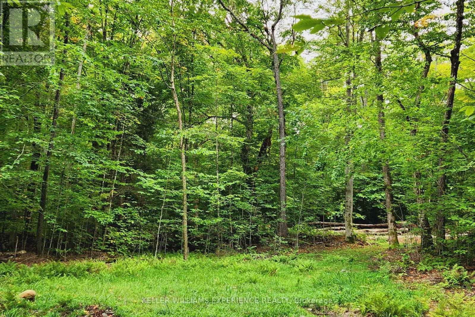 320 Proudfoot Road, Joly, Ontario  P0A 1Z0 - Photo 5 - X12075537