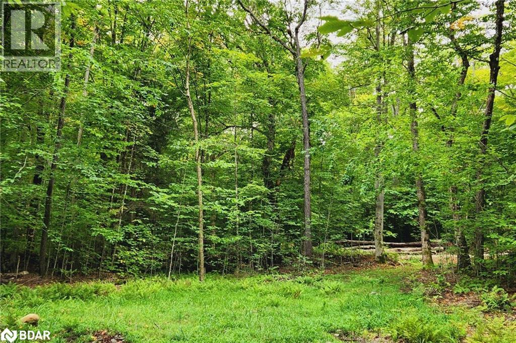 320 Proudfoot Road, Joly, Ontario  P0A 1Z0 - Photo 5 - 40715680