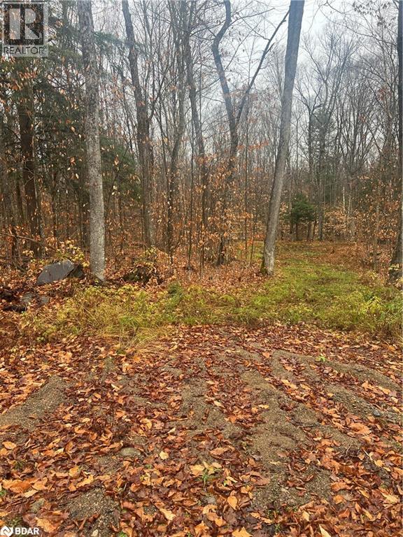 320 Proudfoot Road, Joly, Ontario  P0A 1Z0 - Photo 3 - 40715680