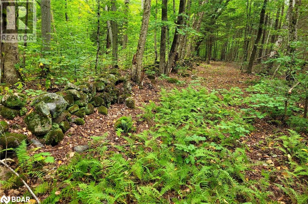 320 Proudfoot Road, Joly, Ontario  P0A 1Z0 - Photo 6 - 40715680