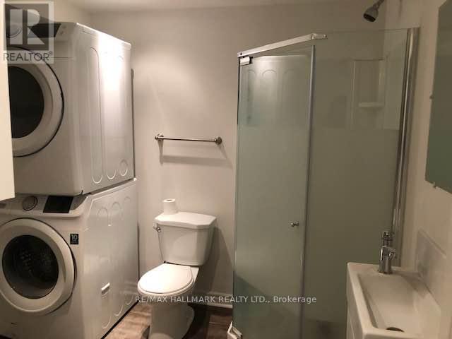 Basement - 130 Ashdale Avenue, Toronto, Ontario  M4L 2Y9 - Photo 8 - E12572670