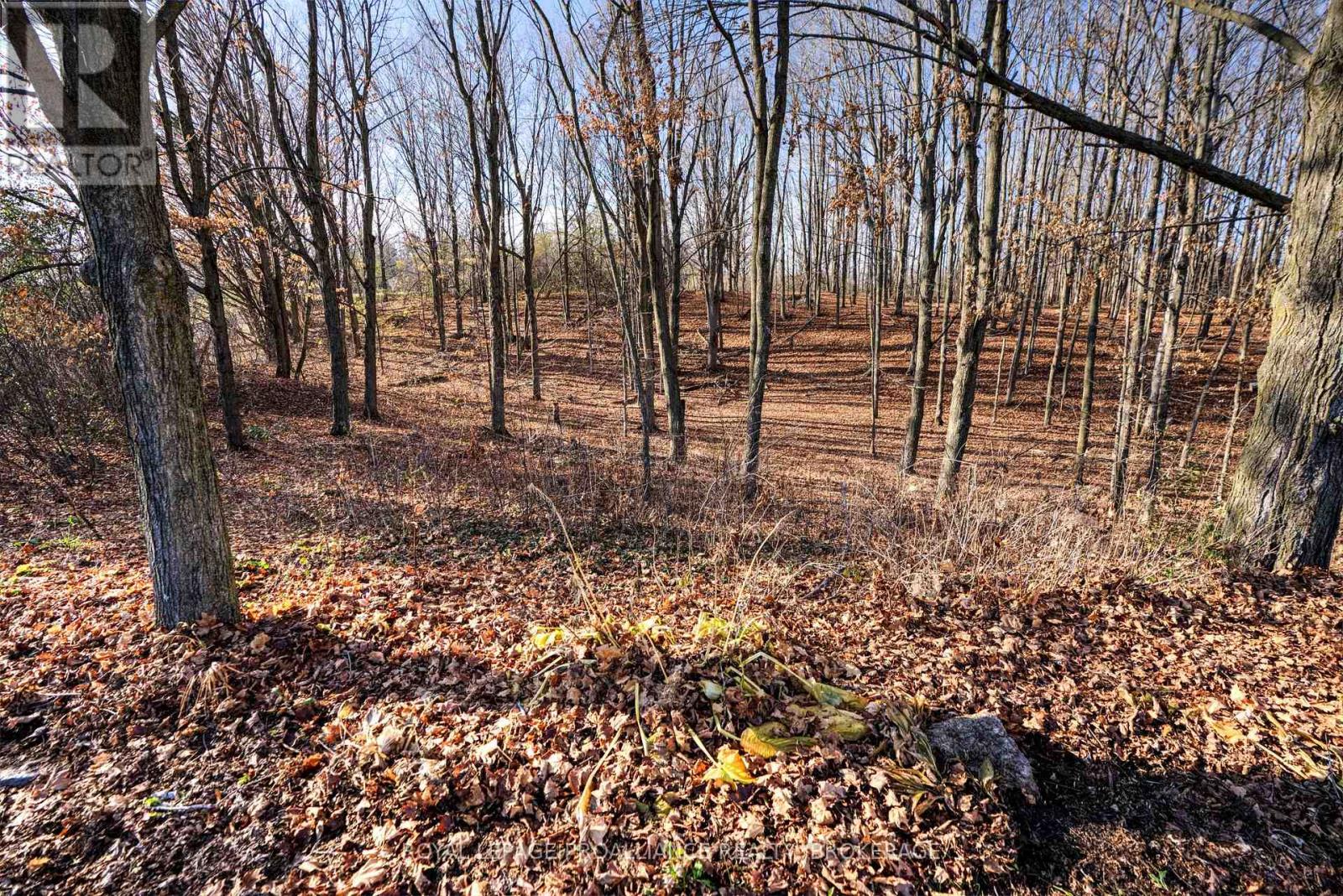 4469 Larry York Road, Frontenac, Ontario  K0H 1H0 - Photo 42 - X12572772