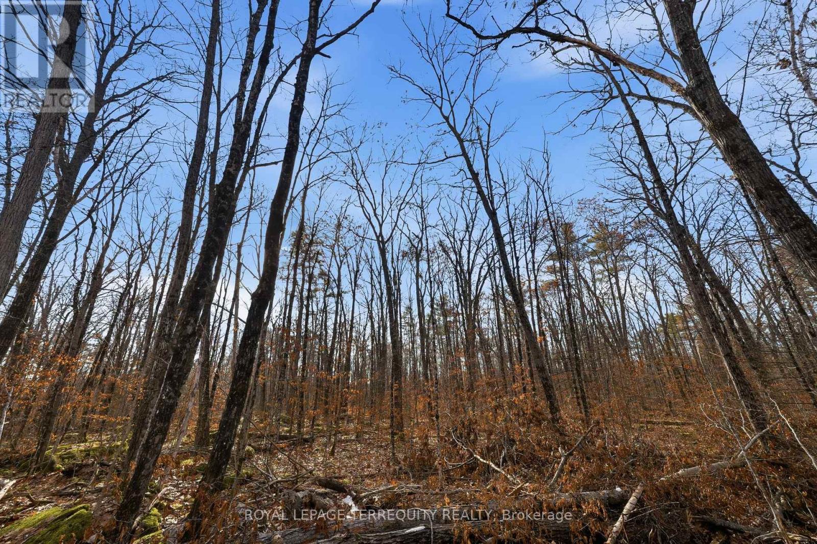 64 Maple Road, Marmora And Lake, Ontario  K0K 2M0 - Photo 11 - X12572626