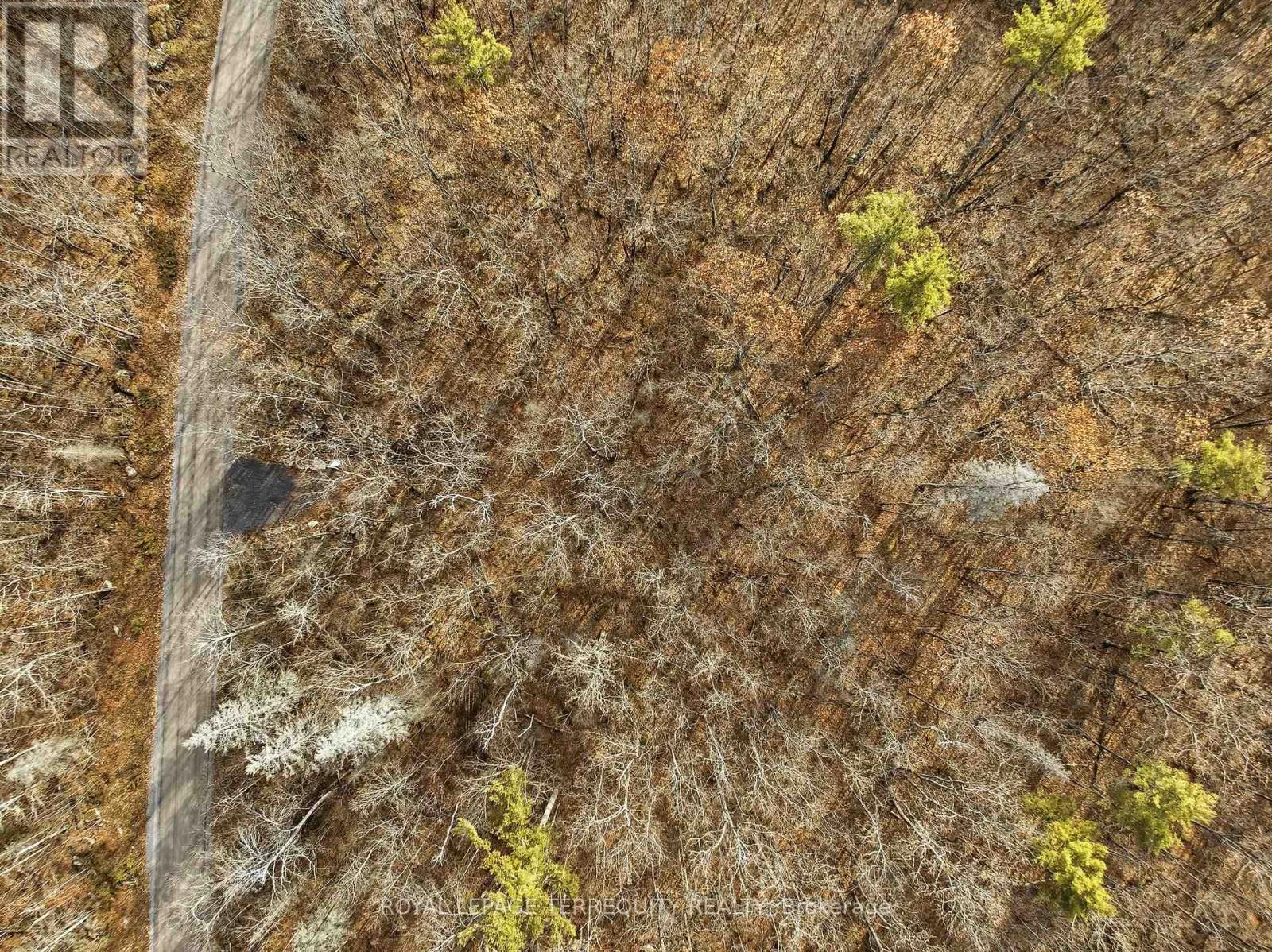 64 Maple Road, Marmora And Lake, Ontario  K0K 2M0 - Photo 2 - X12572626