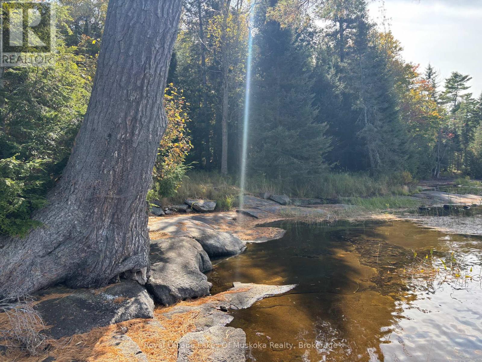 18a Birch Lane, Machar, Ontario  P0A 1X0 - Photo 10 - X12572856