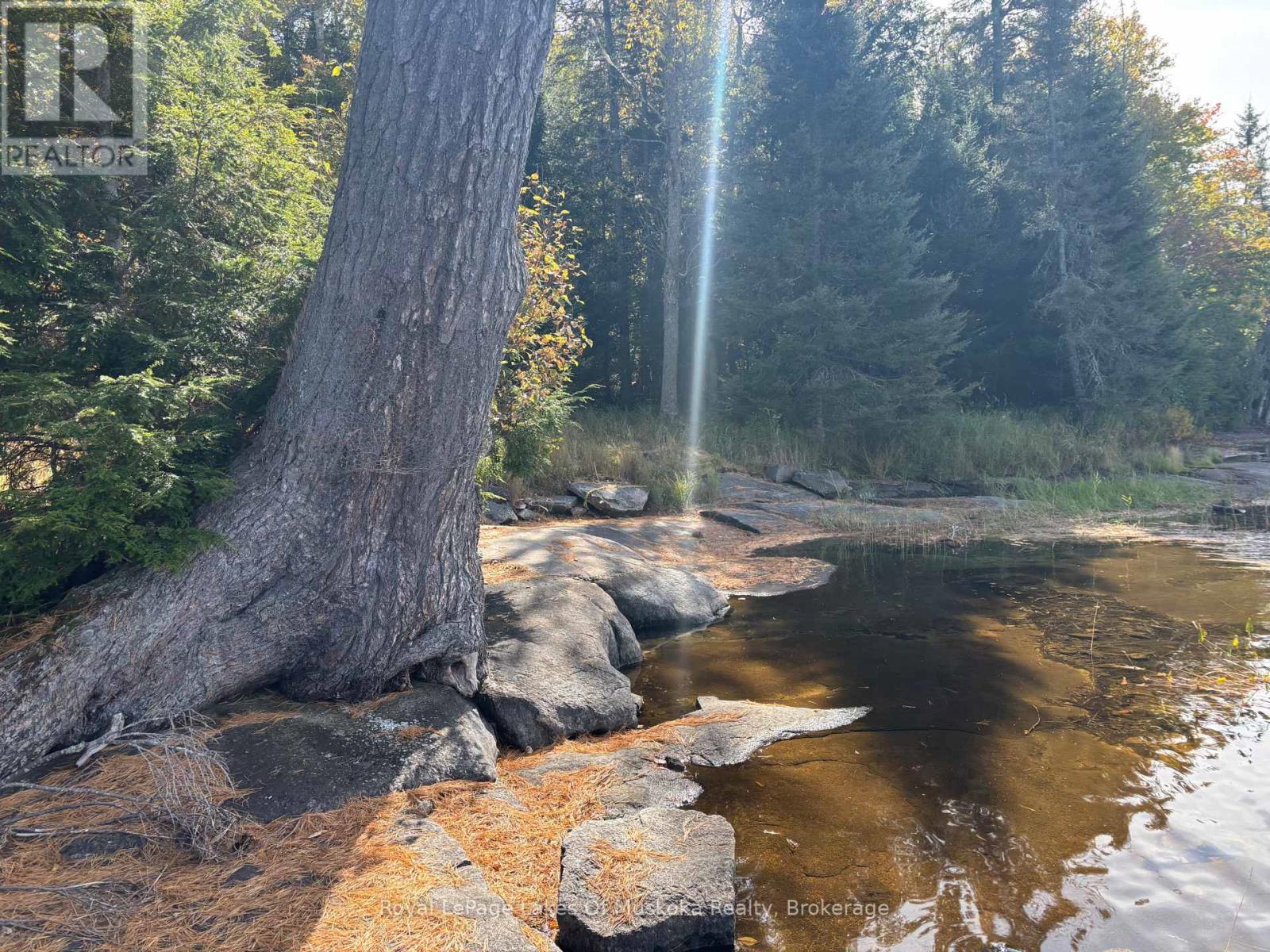 18a Birch Lane, Machar, Ontario  P0A 1X0 - Photo 11 - X12572856