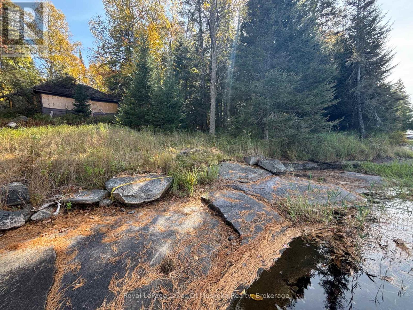 18a Birch Lane, Machar, Ontario  P0A 1X0 - Photo 13 - X12572856