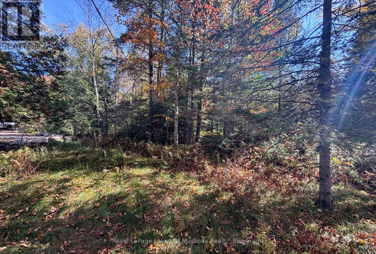 18a Birch Lane, Machar, Ontario  P0A 1X0 - Photo 17 - X12572856