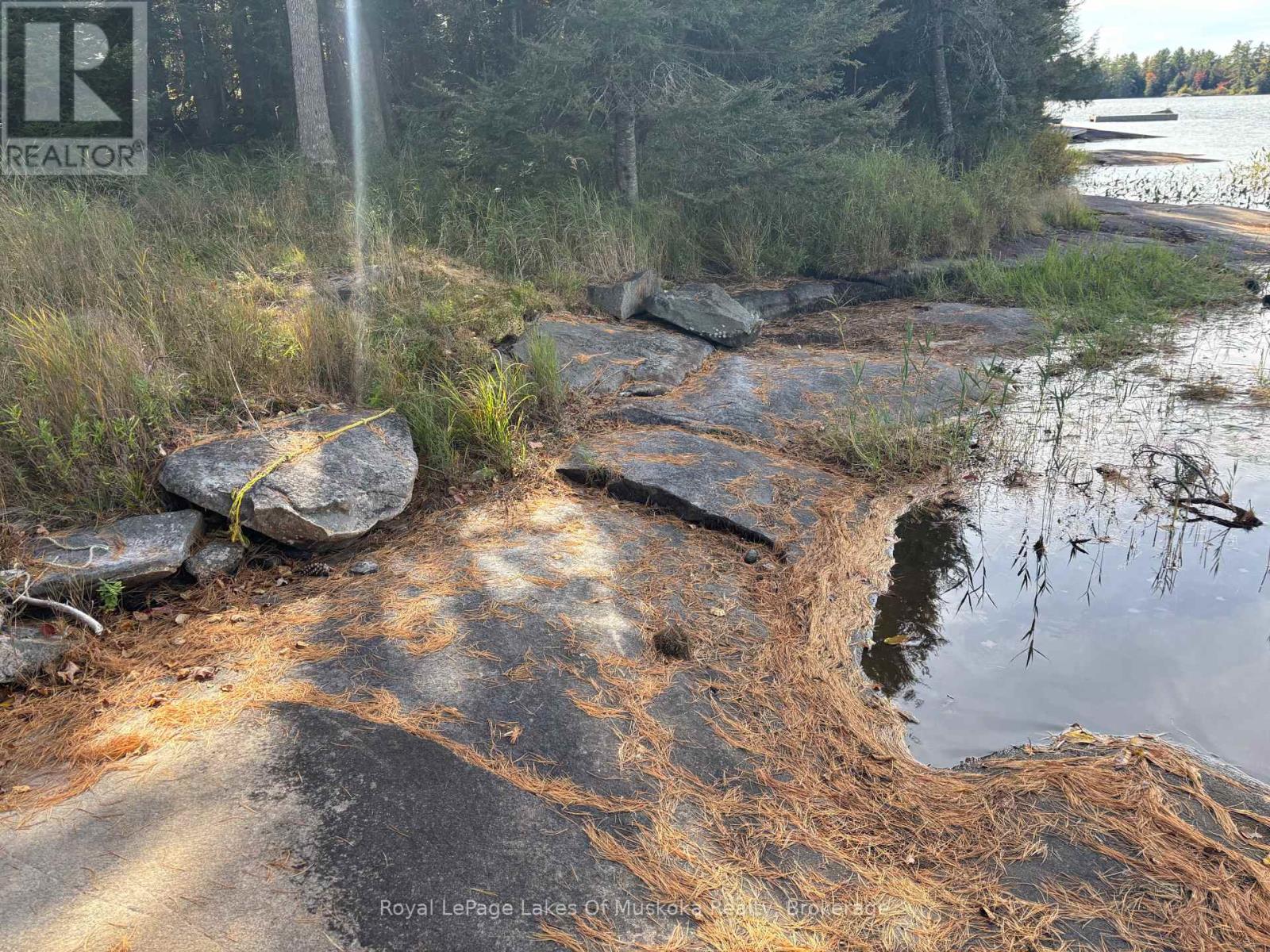 18a Birch Lane, Machar, Ontario  P0A 1X0 - Photo 3 - X12572856