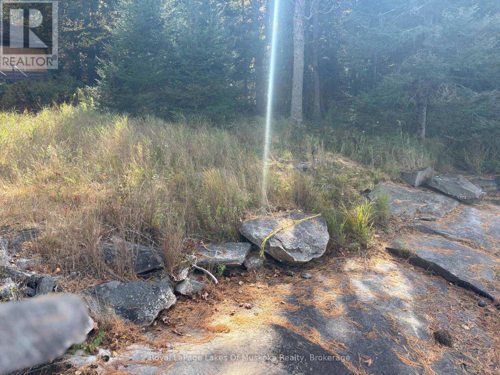 18a Birch Lane, Machar, Ontario  P0A 1X0 - Photo 4 - X12572856