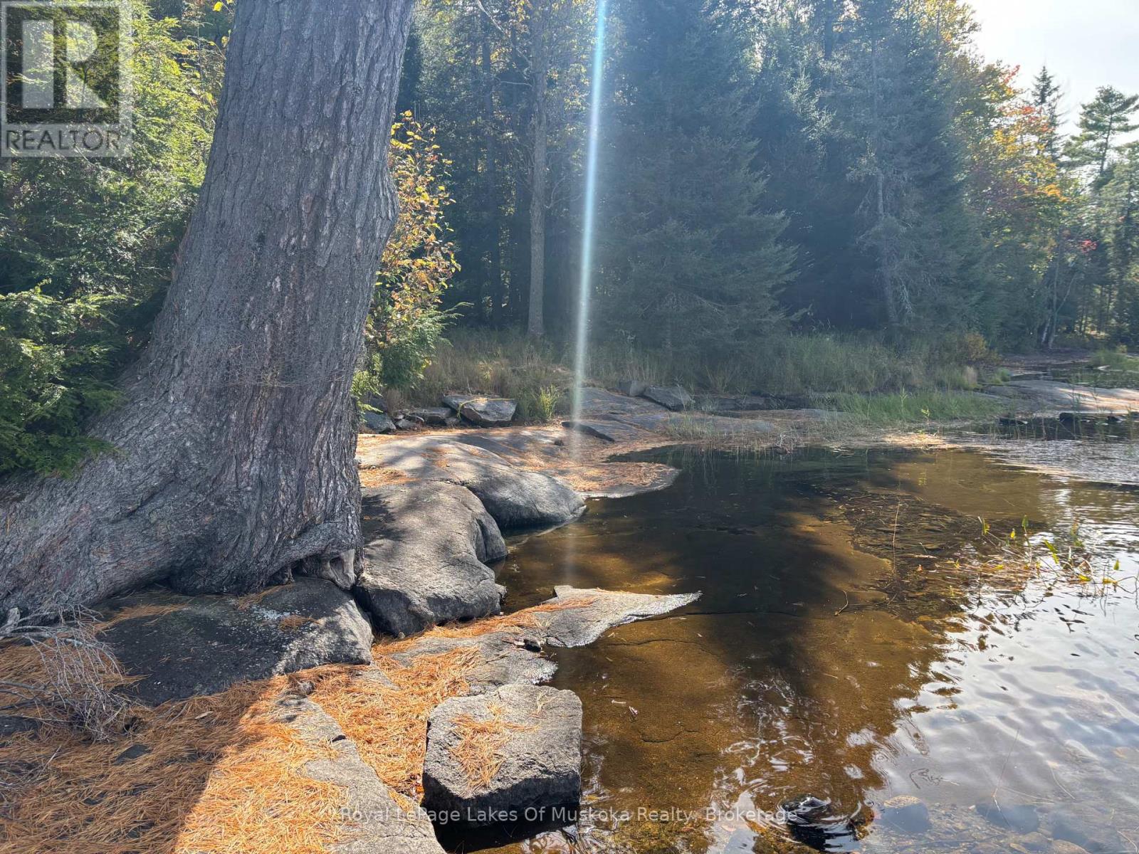 18a Birch Lane, Machar, Ontario  P0A 1X0 - Photo 9 - X12572856