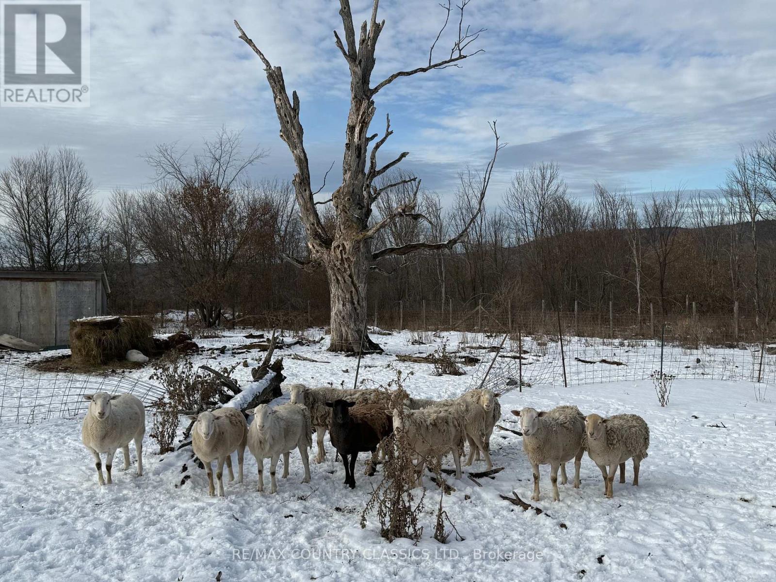 219 Comerford Road S, Brudenell, Ontario  K0J 2E0 - Photo 7 - X12542862