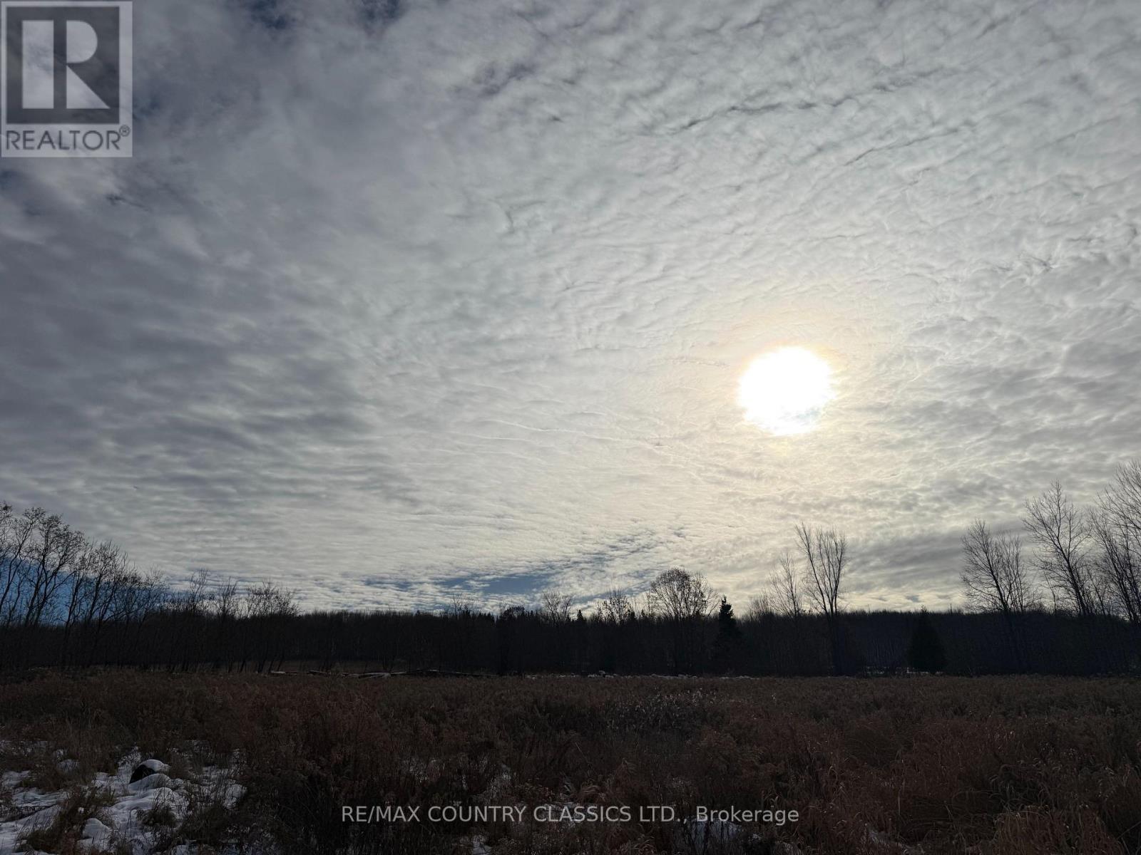 219 Comerford Road S, Brudenell, Ontario  K0J 2E0 - Photo 9 - X12542862