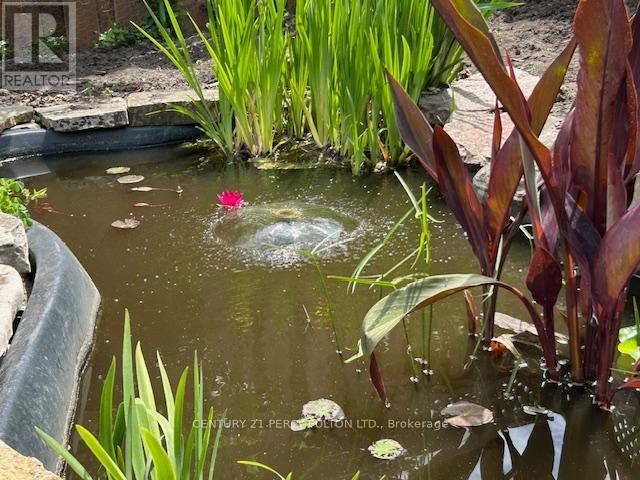 27 Arran Court, Clarington, Ontario  L1E 2E5 - Photo 33 - E12572764