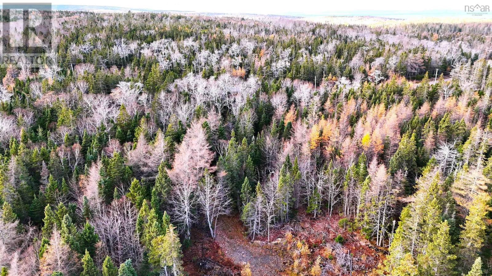 Lot 1a-17 Maple Drive, Cape George Estates, Nova Scotia  B0E 3B0 - Photo 8 - 202528418