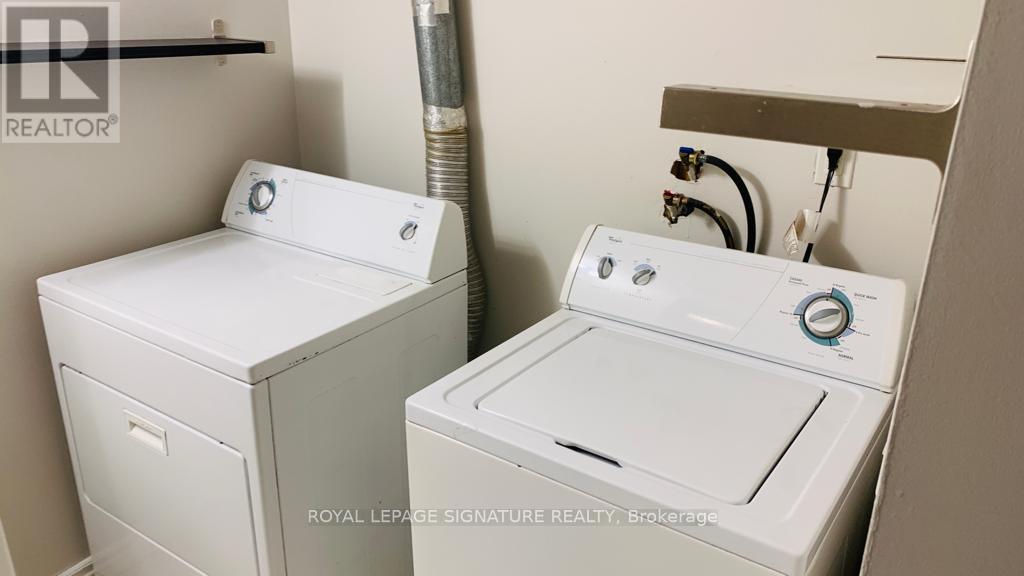 Lower - 1026 Costigan Road, Milton, Ontario  L9T 6N6 - Photo 13 - W12572732