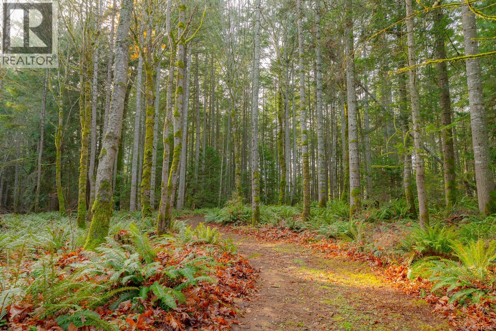 2477 Enefer Rd, Nanaimo, British Columbia  V9X 1W4 - Photo 43 - 1020833