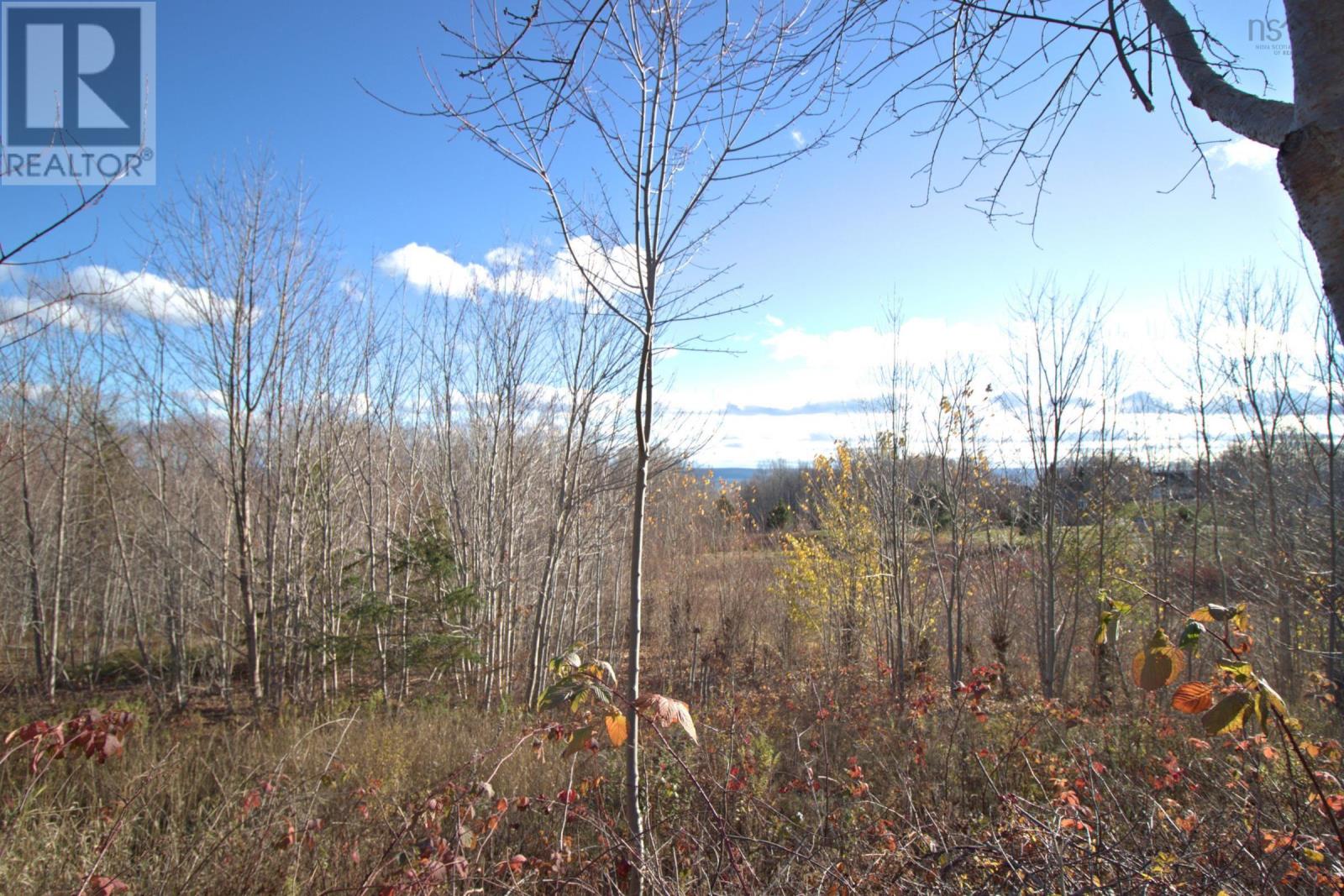 516 Burgess Mountain Road, Woodville, Nova Scotia  B0P 1G0 - Photo 3 - 202528486