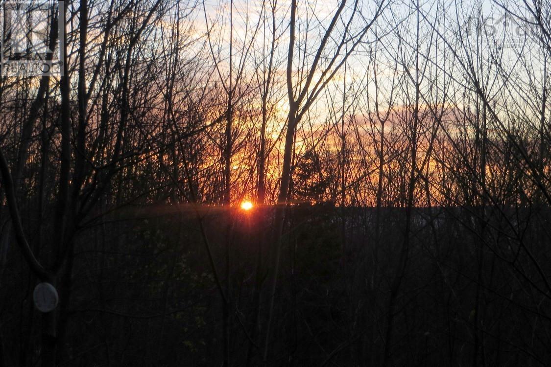 516 Burgess Mountain Road, Woodville, Nova Scotia  B0P 1G0 - Photo 43 - 202528486