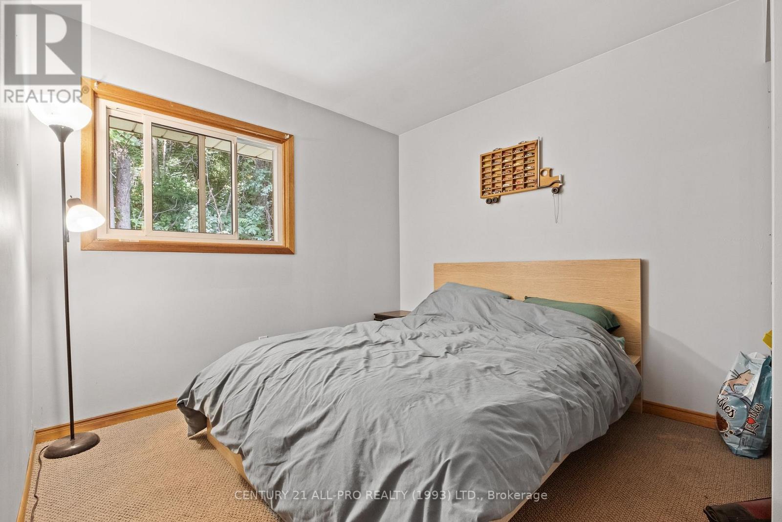 120 Massey Road, Alnwick/haldimand, Ontario  K9A 4J8 - Photo 33 - X12539218