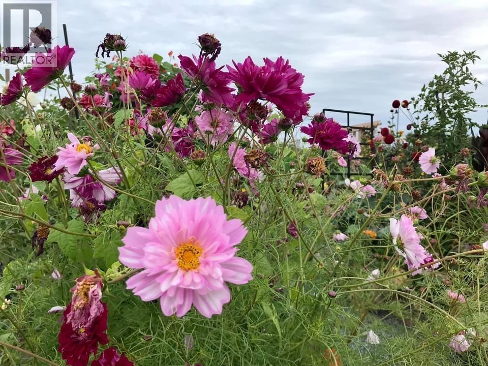 102 320 Ridge Street, Delta, British Columbia V4L 0B5 - Photo 39 - R3061213