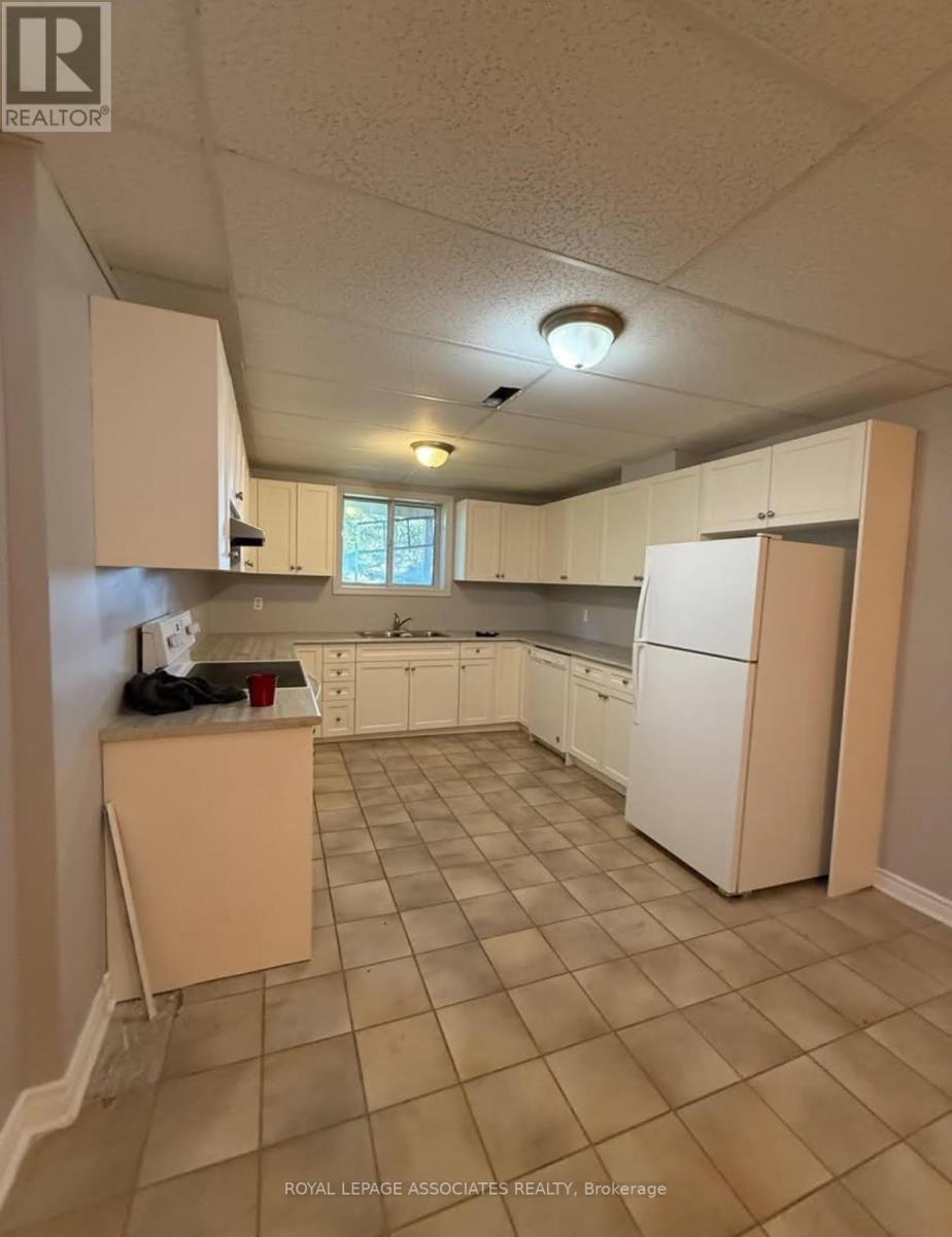 Basement - 65 Simcoe Road, Bradford West Gwillimbury, Ontario  L3Z 2B3 - Photo 2 - N12572960