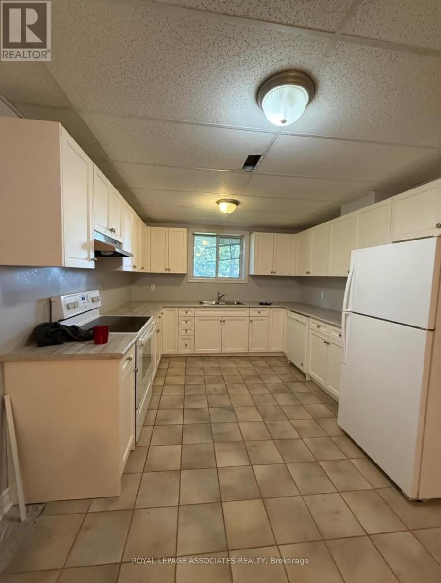 Basement - 65 Simcoe Road, Bradford West Gwillimbury, Ontario  L3Z 2B3 - Photo 3 - N12572960