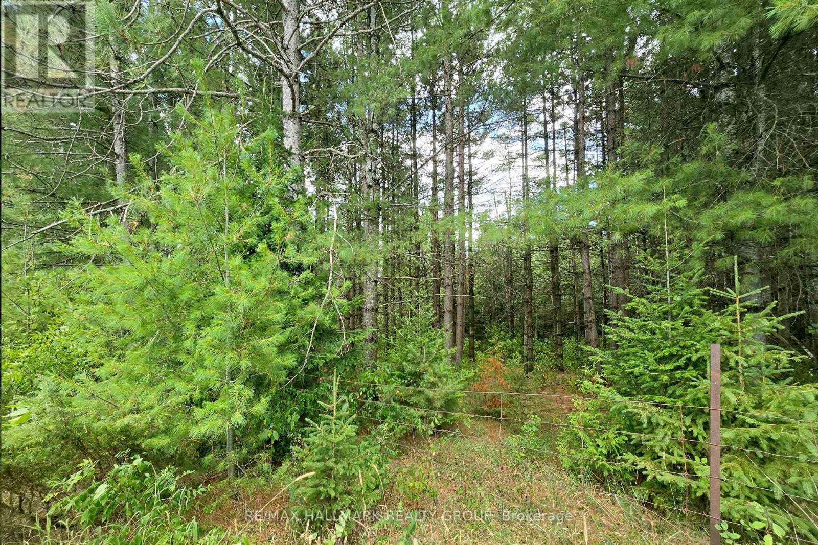 00 Upper Dwyer Hill Road, Ottawa, Ontario  K0A 1B0 - Photo 41 - X12296767