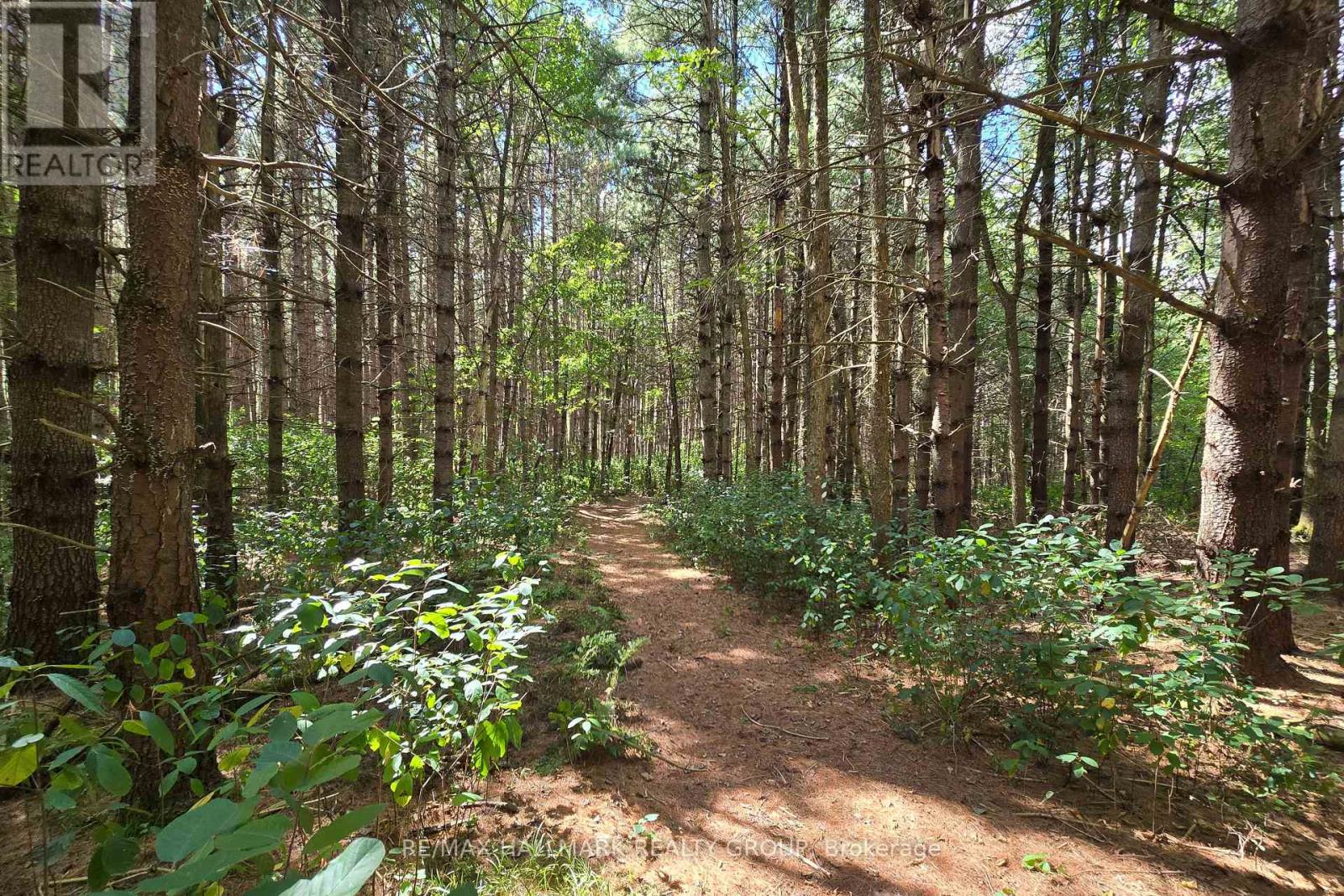 00 Upper Dwyer Hill Road, Ottawa, Ontario  K0A 1B0 - Photo 49 - X12296767