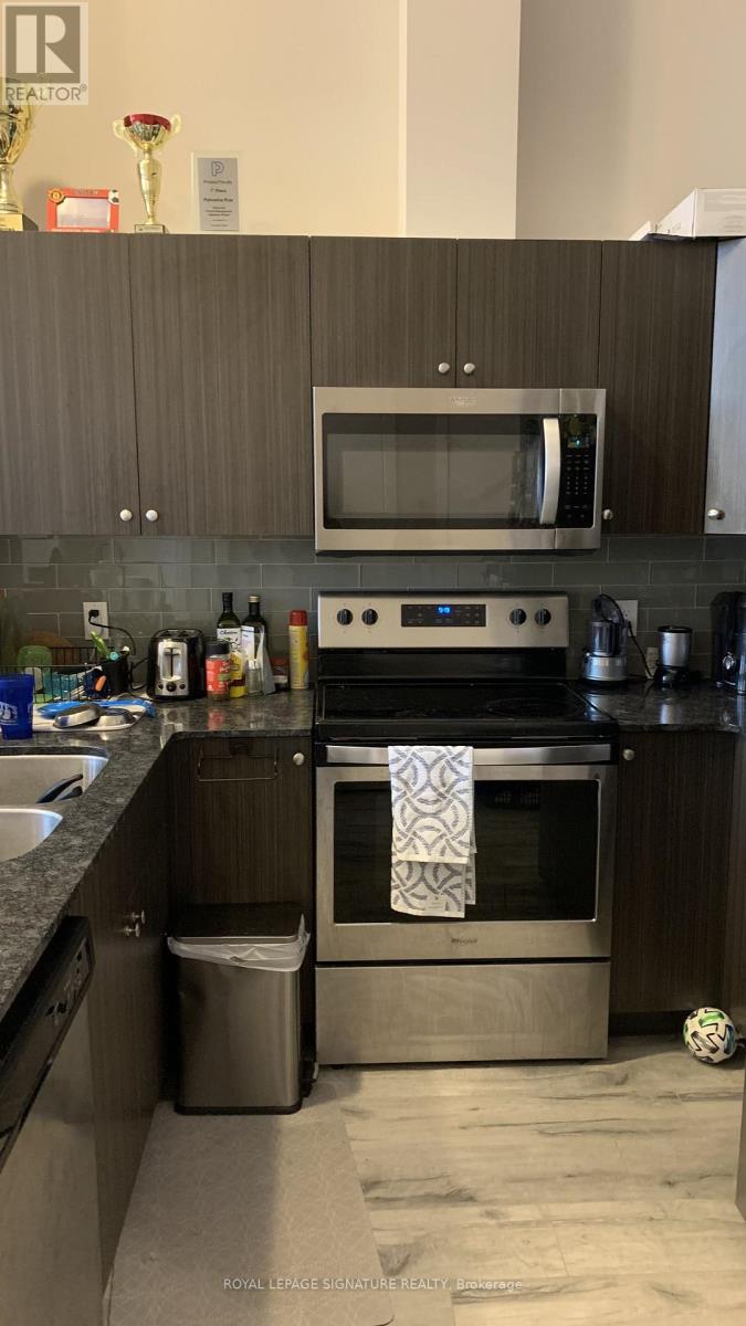 313 - 100 Garment Street S, Kitchener, Ontario  N2G 4Y9 - Photo 3 - X12521938