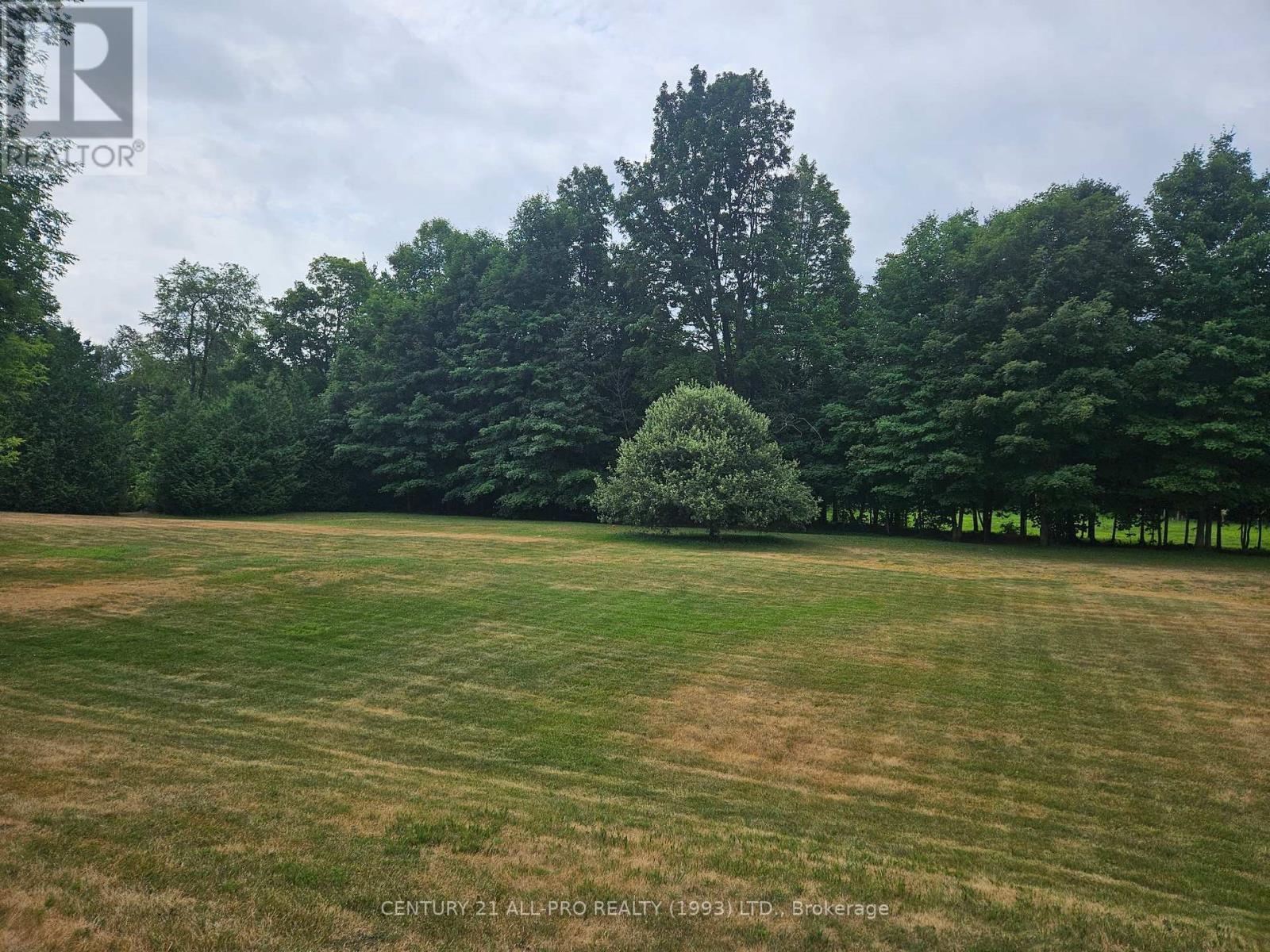 426 Gully Road, Alnwick/haldimand, Ontario  K9A 4J8 - Photo 7 - X12072081